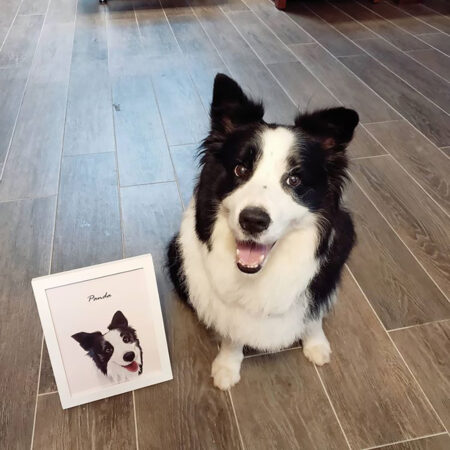 118636307_357871935373756_7866957234825403431_n