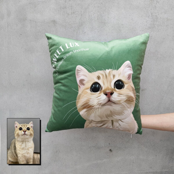 方形手繪抱枕 (似顏繪)